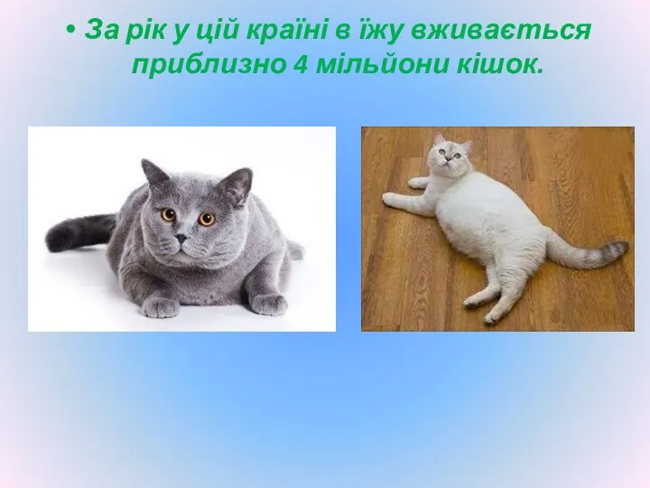 За рік у цій країні в їжу вживається приблизно 4 мільйони кішок.