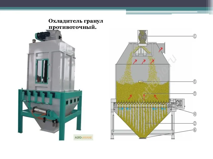 Охладитель гранул противоточный.