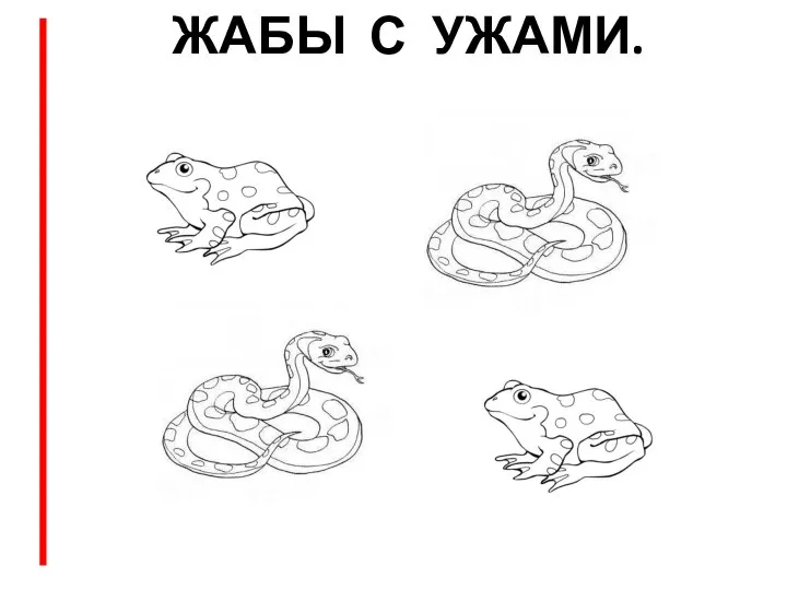 ЖАБЫ С УЖАМИ.