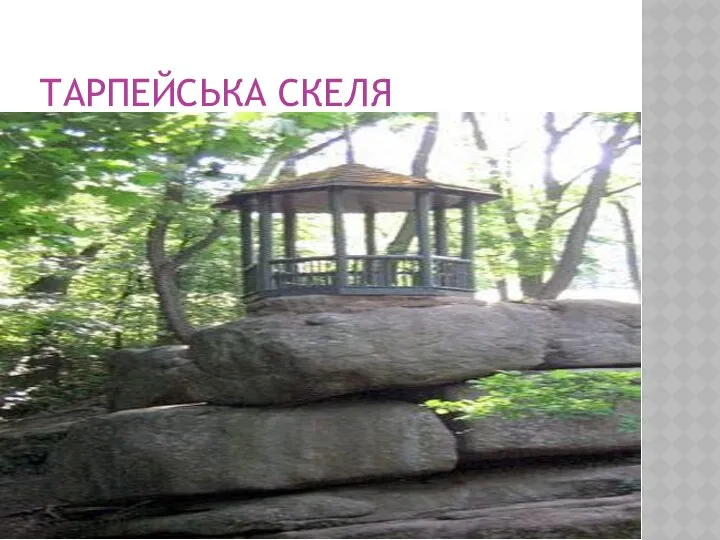 ТАРПЕЙСЬКА СКЕЛЯ