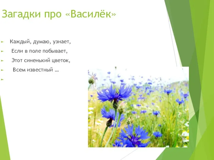 Загадки про «Василёк» Каждый, думаю, узнает, Если в поле побывает, Этот синенький цветок, Всем известный …