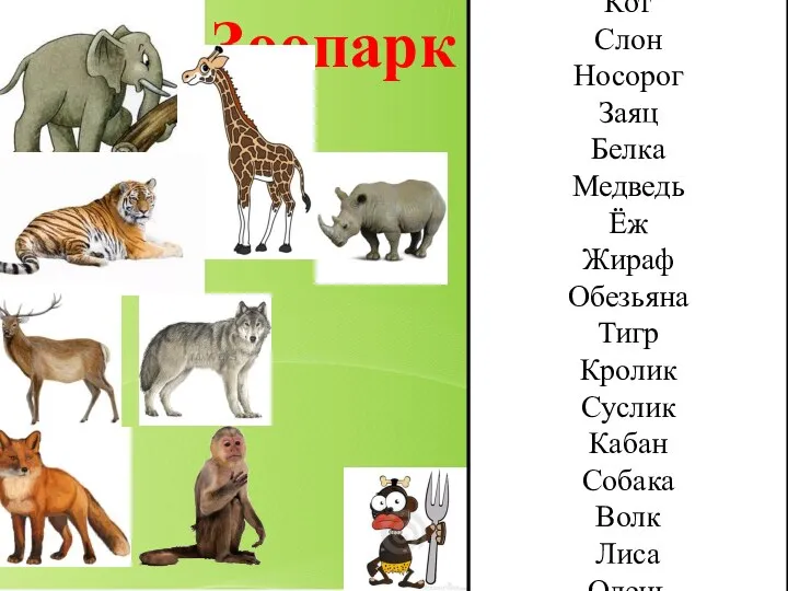 Зоопарк Кот Слон Носорог Заяц Белка Медведь Ёж Жираф Обезьяна Тигр