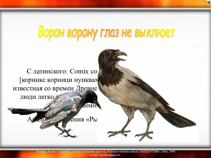 С латинского: Comix cornici nunquam confodit oculum [корннкс корници нунквам конфодит