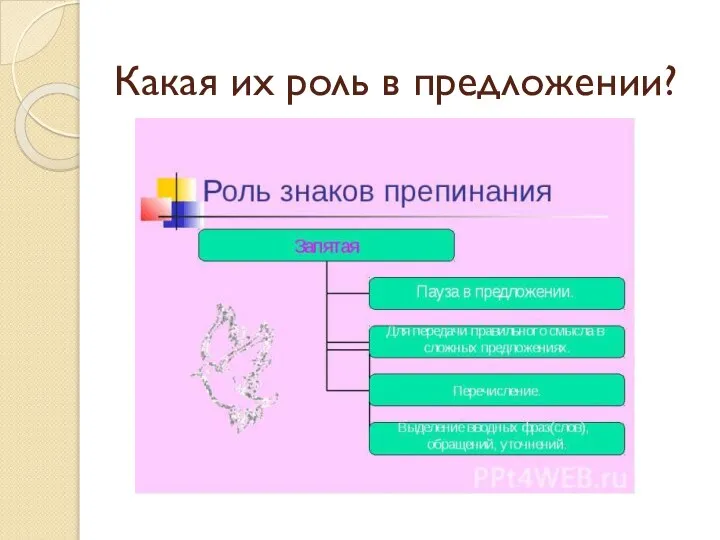 Какая их роль в предложении?