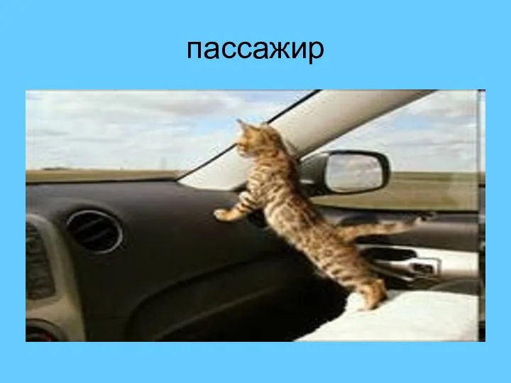 пассажир