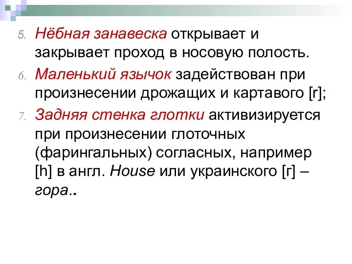 Нёбная занавеска открывает и закрывает проход в носовую полость. Маленький язычок