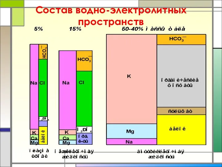 Состав водно-электролитных пространств