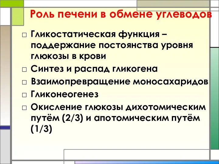 Гликостатическая функция – поддержание постоянства уровня глюкозы в крови Синтез и