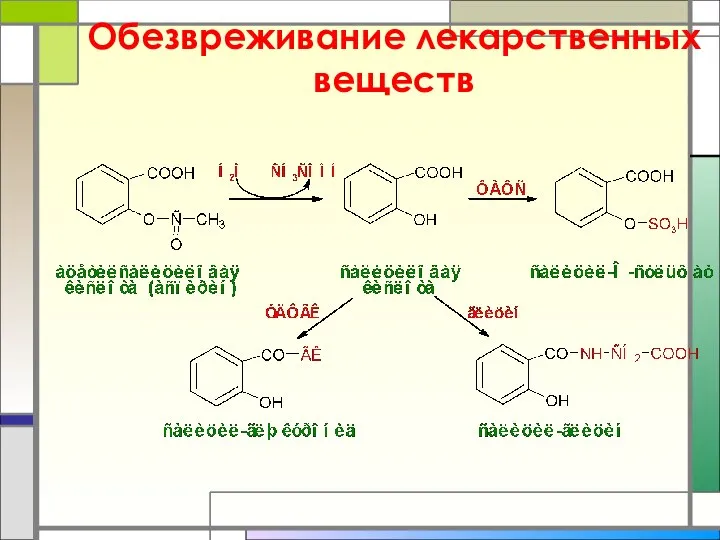 Обезвреживание лекарственных веществ