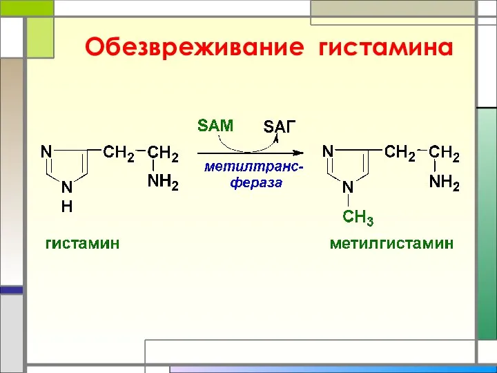 Обезвреживание гистамина