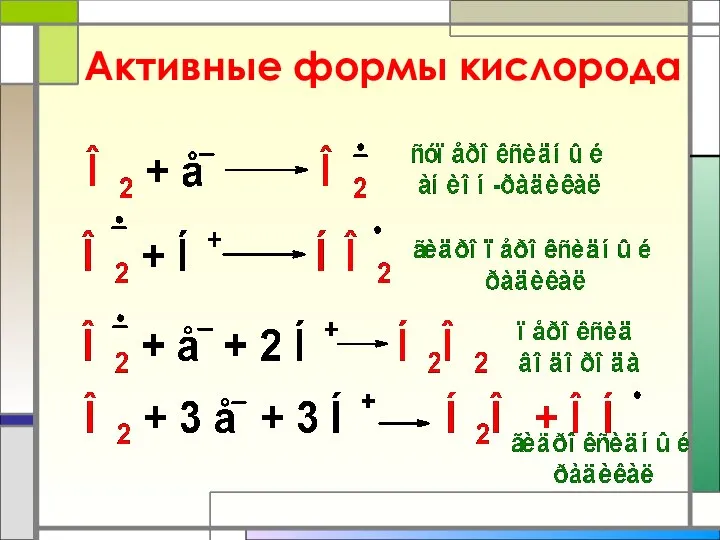 Активные формы кислорода