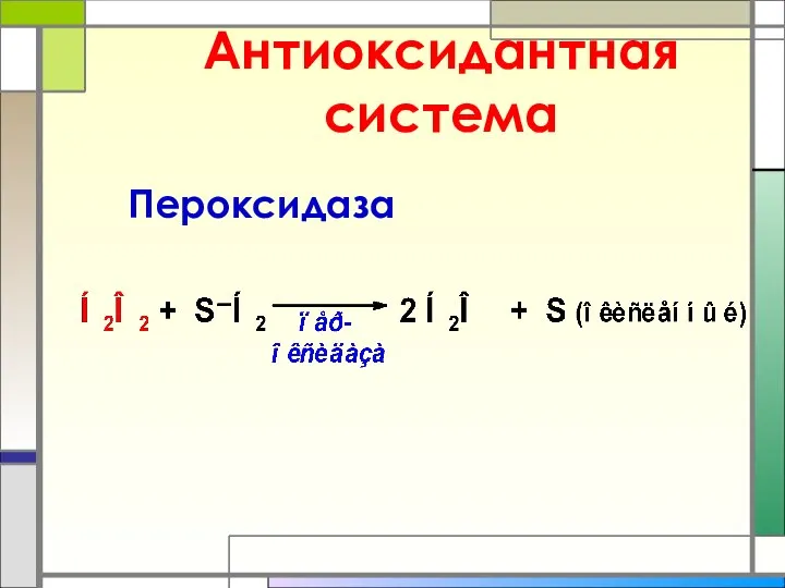 Антиоксидантная система Пероксидаза