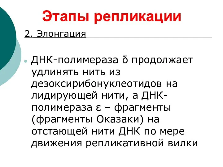 2. Элонгация ДНК-полимераза δ продолжает удлинять нить из дезоксирибонуклеотидов на лидирующей