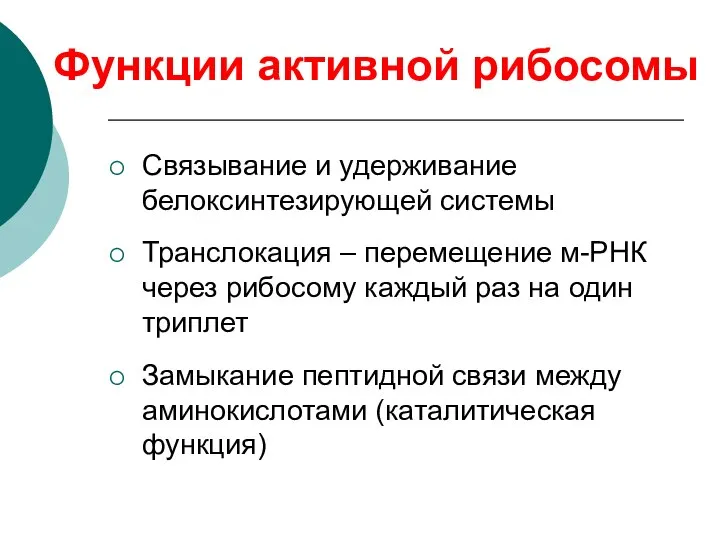 Функции активной рибосомы Связывание и удерживание белоксинтезирующей системы Транслокация – перемещение