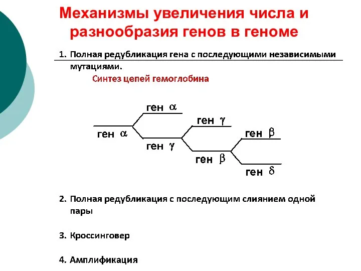 Механизмы увеличения числа и разнообразия генов в геноме