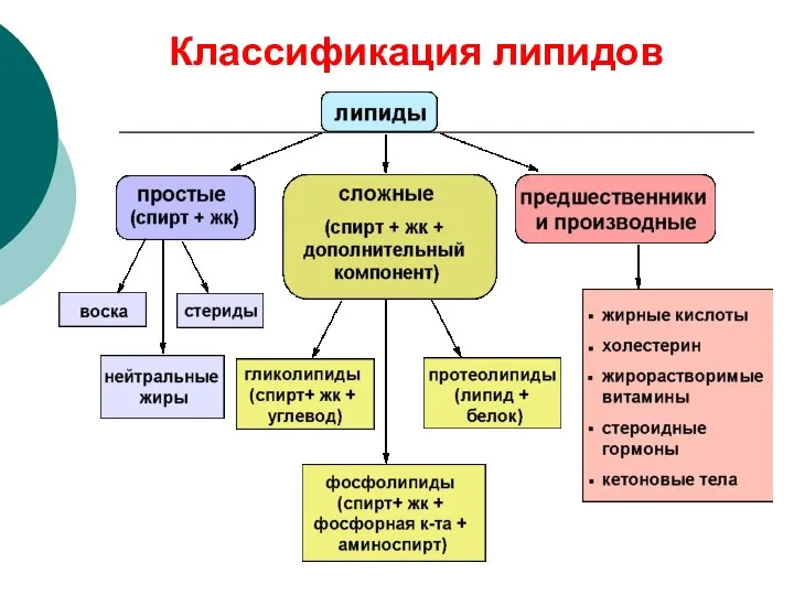 Классификация липидов