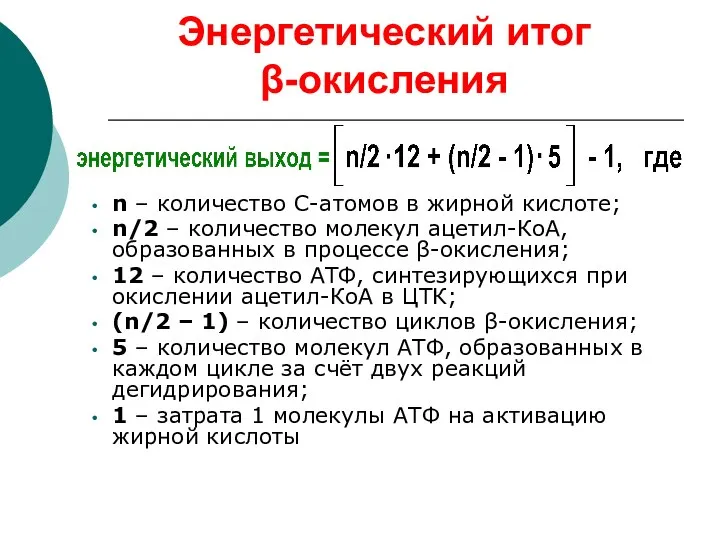 Энергетический итог β-окисления n – количество С-атомов в жирной кислоте; n/2