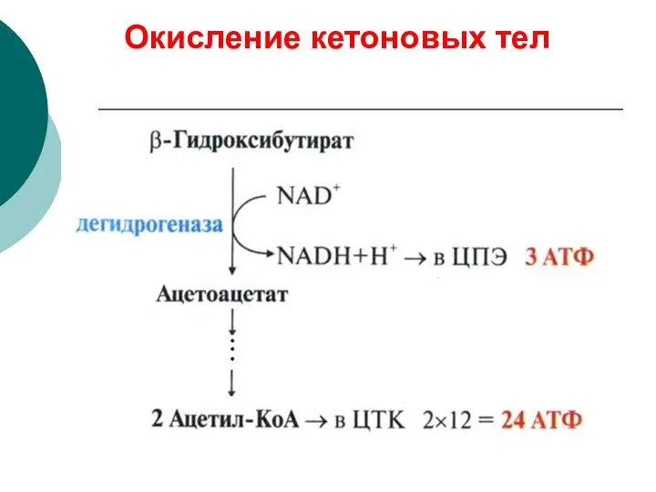 Окисление кетоновых тел