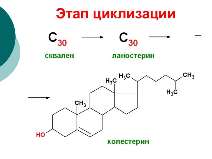 Этап циклизации