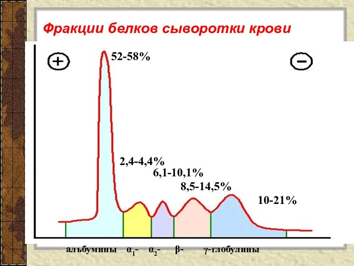 Фракции белков сыворотки крови 52-58% 2,4-4,4% 6,1-10,1% 8,5-14,5% 10-21% альбумины α1- α2- β- γ-глобулины