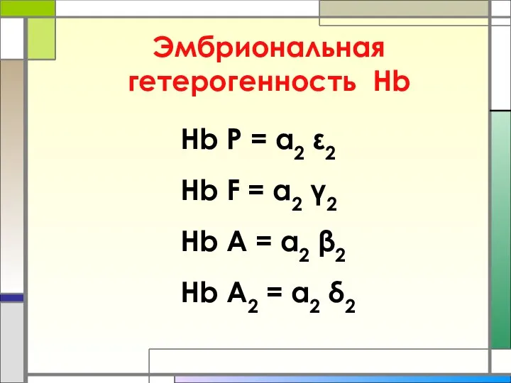 Эмбриональная гетерогенность Нb Нb P = α2 ε2 Hb F =