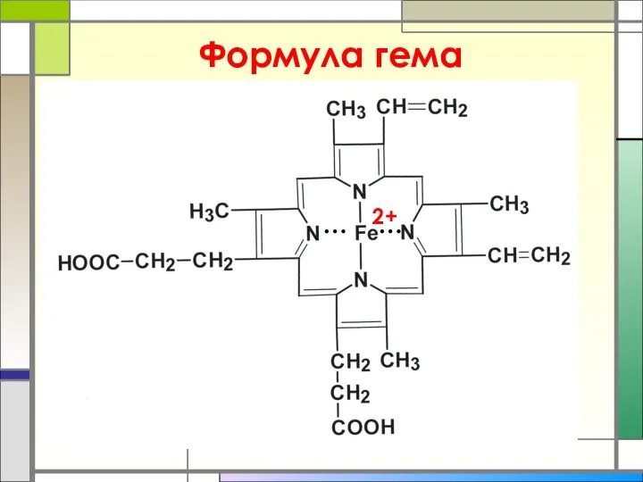 Формула гема 2+ … …