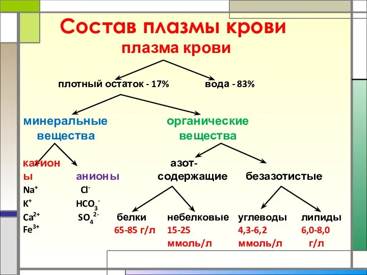 Состав плазмы крови плазма крови