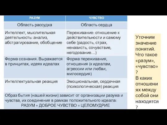 Уточним значение понятий. Что такое «разум», «чувство»? В каких отношениях между собой они находятся?