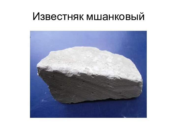 Известняк мшанковый