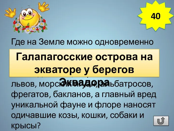 Где на Земле можно одновременно встретить пингвинов, кактусы опунции высотой до