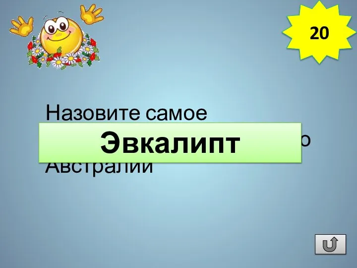 Назовите самое распространенное дерево Австралии Эвкалипт 20