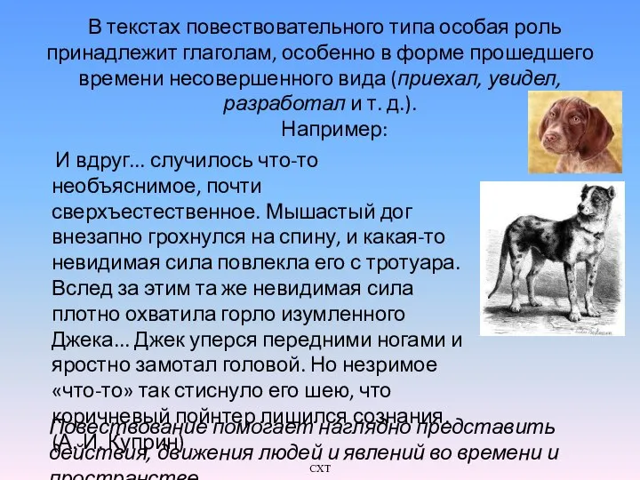 В текстах повествовательного типа особая роль принадлежит глаголам, особенно в форме