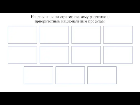 Направления по стратегическому развитию и приоритетным национальным проектам: