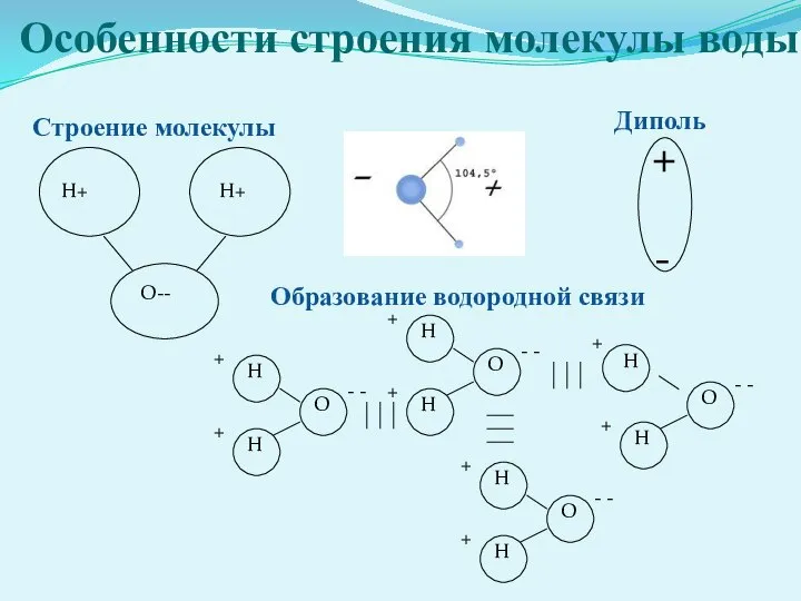 Особенности строения молекулы воды