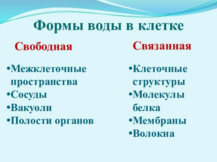 Формы воды в клетке Свободная Межклеточные пространства Сосуды Вакуоли Полости органов