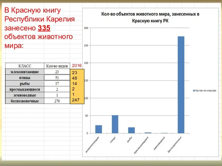 В Красную книгу Республики Карелия занесено 335 объектов животного мира: 23