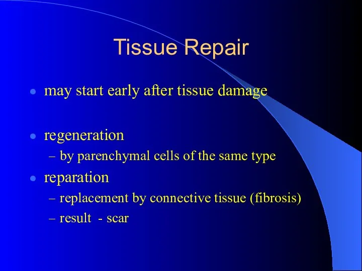 Tissue Repair may start early after tissue damage regeneration by parenchymal