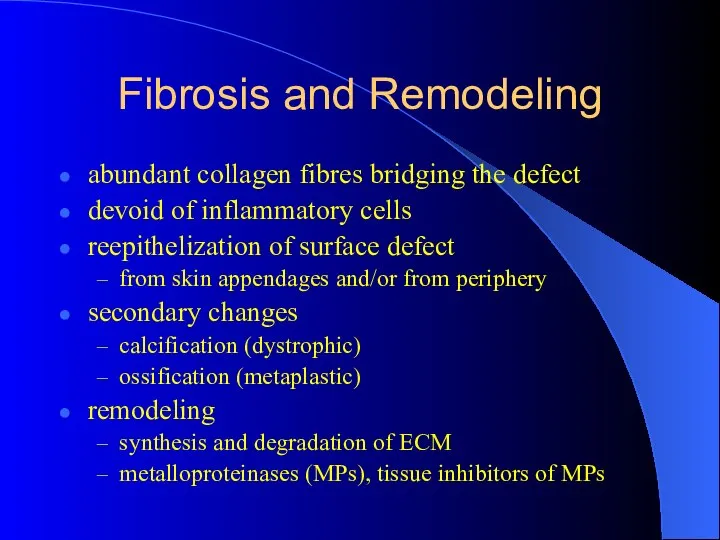 Fibrosis and Remodeling abundant collagen fibres bridging the defect devoid of