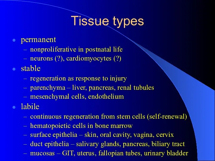 Tissue types permanent nonproliferative in postnatal life neurons (?), cardiomyocytes (?)