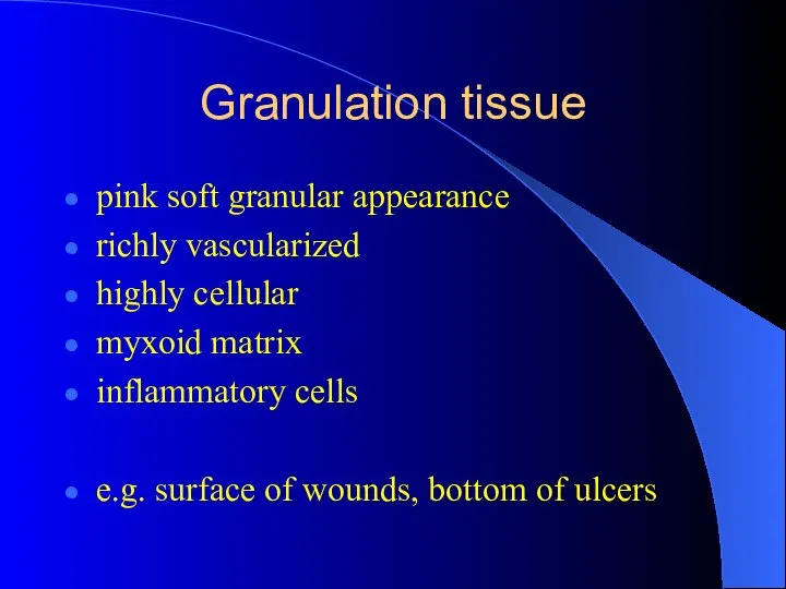 Granulation tissue pink soft granular appearance richly vascularized highly cellular myxoid