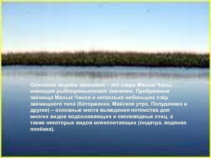 Основной водоём заказника – это озеро Малые Чаны, имеющее рыбопромысловое значение.
