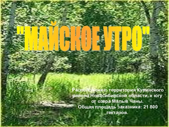 Расположение: территория Купинского района Новосибирской области, к югу от озера Малые