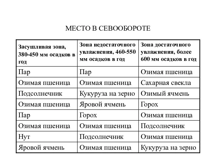 МЕСТО В СЕВООБОРОТЕ