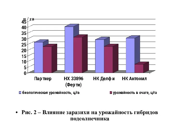 ц / га Рис. 2 – Влияние заразихи на урожайность гибридов подсолнечника