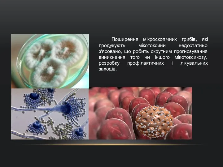 Поширення мікроскопічних грибів, які продукують мікотоксини недостатньо з'ясовано, що робить скрутним