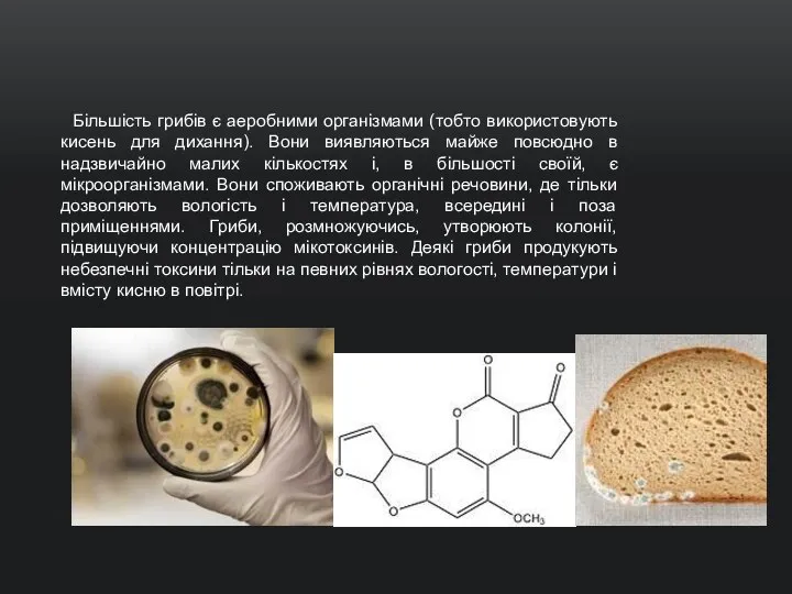 Більшість грибів є аеробними організмами (тобто використовують кисень для дихання). Вони