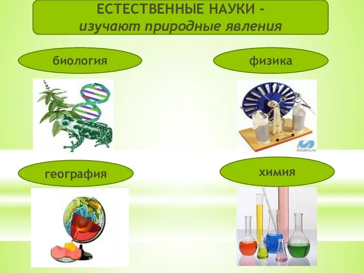 ЕСТЕСТВЕННЫЕ НАУКИ - изучают природные явления биология география химия физика