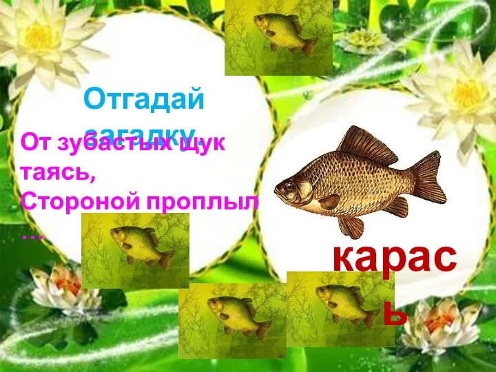 Отгадай загадку. От зубастых щук таясь, Стороной проплыл … карась