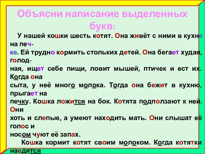 Объясни написание выделенных букв: У нашей кошки шесть котят. Она живёт