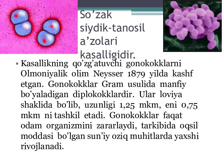 So’zak siydik-tanosil a’zolari kasalligidir. Kasallikning qo’zg’atuvchi gonokokklarni Olmoniyalik olim Neysser 1879